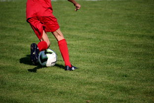 中国足球青年联赛系统标准化形态剖析，全国足球青年联赛